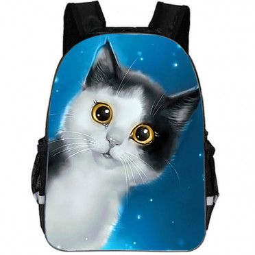 Легкий школьный рюкзак с кошкой для девочки подростка SH118-7